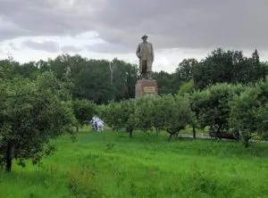 Leírása a fő gyümölcs faiskolák faluikat és helye