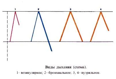 Determinarea Kreniga lățimi de margine