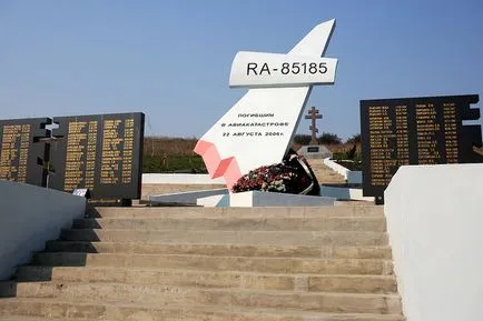 Дали е опасно да се лети в гръмотевична буря в самолета