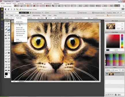 inlocuitori Photoshop Online