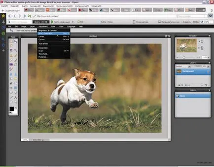 inlocuitori Photoshop Online