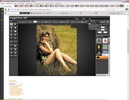 inlocuitori Photoshop Online