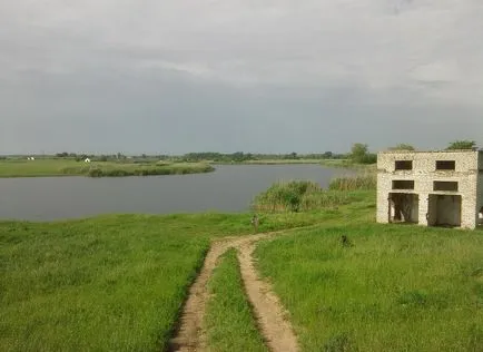 Feeder eltérően Donkey