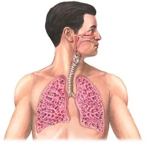 Lung fibroza si remedii sale de tratament populare