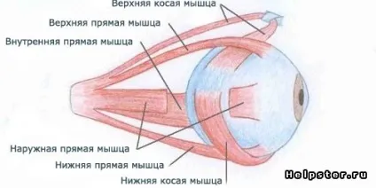 Лазерна корекція косоокості