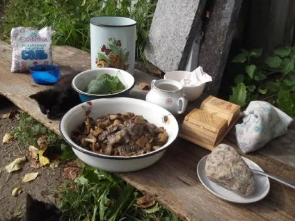 Квашені гриби 1