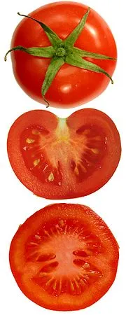 Tomate - l