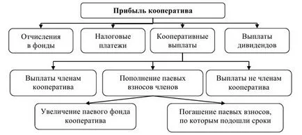 Редът на разпределение на печалбата на кооперацията