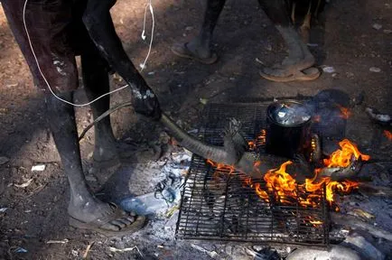 A mindennapi életben, az ausztrál őslakosok