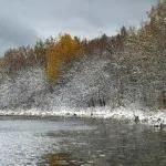 Jelek a húsvét, hogy a pénz hajtottak végre, 2017 2018, 2019, házas, terhes, tiszta