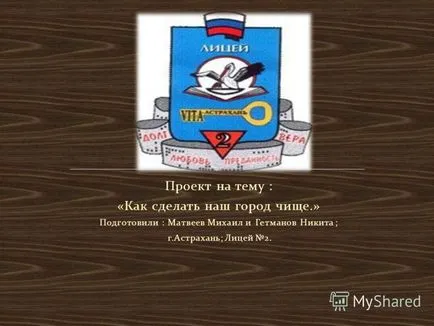 Представяне на проекта за това как да се направи по-чист град ни