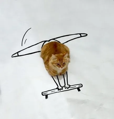 ceva Pririsuy pisica transforma fotografiile obișnuite într-o imagine amuzant