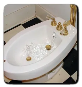 Размери на биде и тоалетна чиния характеристики и условия, видове, видове монтаж, потребителското купувач
