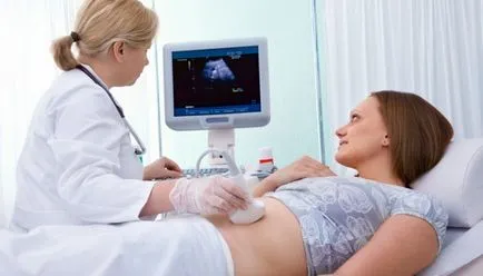 mărimea uterului la norma cu ultrasunete apendici pe Uzi