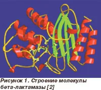 Устойчивост на микроорганизми, причинени от бета-лактамази, както и начини за нейното преодоляване,