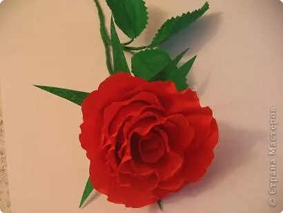 Rose de hârtie ondulat