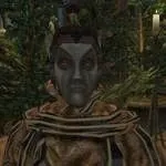 Літописи Тамріеля morrowind, oblivion, skyrim - morrowind - путівник по Вварденфелл