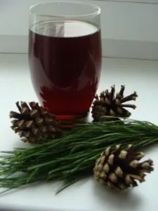 Лікування сосновими шишками судин (чи дійсно соснові шишки працюють при лікуванні судин) Лікування сосновими шишками судин