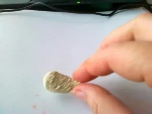 Ліплення з пластиліну голуба, мій малюк (голуба) Ліплення з пластиліну голуба, мій малюк
