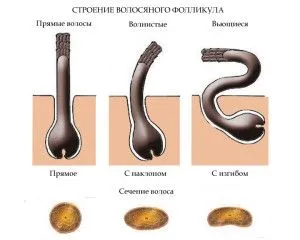 Лікування пористих волосся причини, наслідки та їх вирішення (пористих) Лікування пористих волосся причини, наслідки та їх вирішення