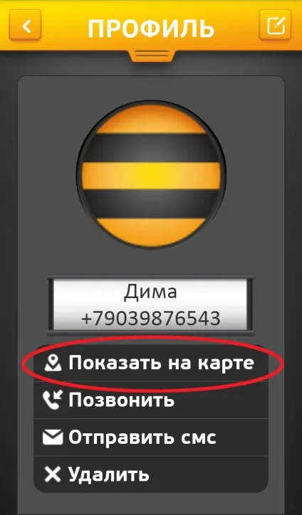Локатор - від билайн як підключити і відключити послугу (билайн) Локатор - від билайн як підключити і відключити послугу