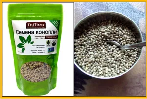 Насіння конопель