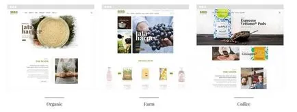 Format magazin online de produse cosmetice WordPress 2016