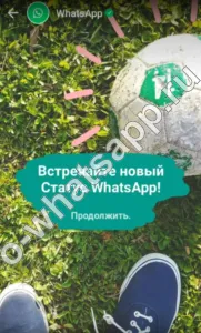 Descarca WhatsApp (vatsap) liber în limba rusă