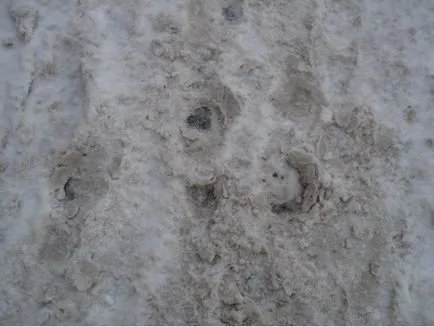 Havazás Jekatyerinburgban, hogy magával hozza a hó, az EKB-grad