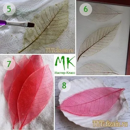 Scheletizare de frunze, iar ideea de a folosi fotografie - Design - decor cu propriile lor mâini