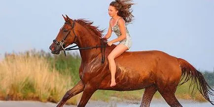 Тълкуване на сънища яздите кон, на които мечтаят да яздите кон в съня