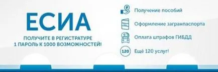 Спайс - какво е това, гъска - Kurkinskoe централния район болница