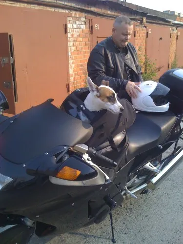 Cu un câine pe o motocicletă