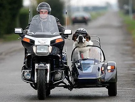 Cu un câine pe o motocicletă