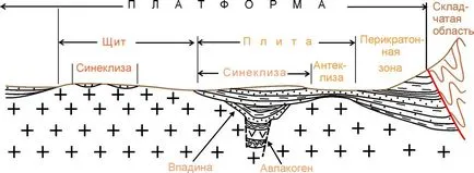 Platforme elemente structurale