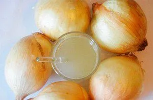 Лук в вухо при болю лікування (лікування) Лук в вухо при болю лікування