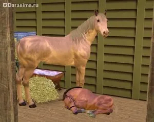 Коні в «the sims 3 вихованці», всесвіт гри the sims!