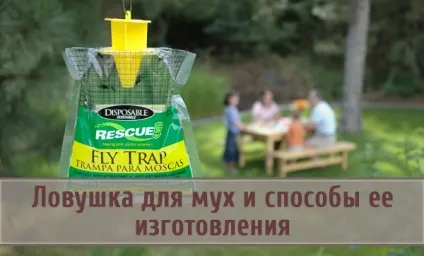 Пастка для мух і способи її виготовлення