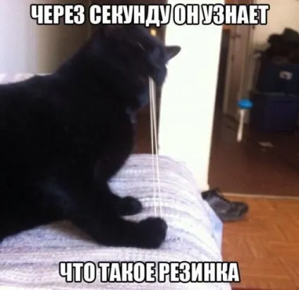 Кращий спосіб приховати правду