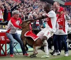 Mascotele cluburi sportive