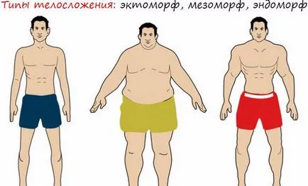 видове тялото на отличителни черти Ectomorphs, Endomorphs и Mesomorphs