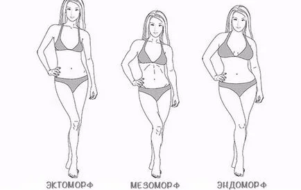 видове тялото на отличителни черти Ectomorphs, Endomorphs и Mesomorphs