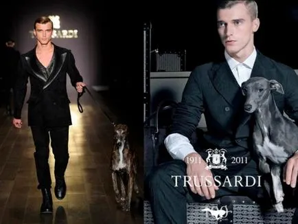 Trussardi - marcă de brand