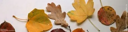 Mi díszíteni a házat őszi levelek - Fair Masters - kézzel készített, kézzel készített
