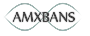 Установка amxbans 6