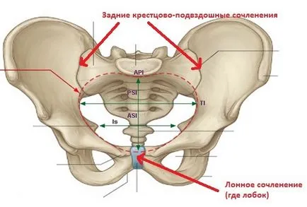 simfiza pubiană Uzi in timpul sarcinii - Cum