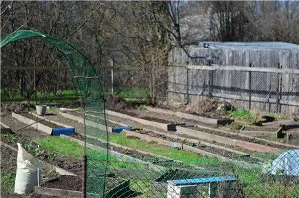 Вузькі грядки (можна робити грядки) вузькі грядки