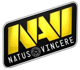 Вид на щети - официален екип оженва сайта организация Natus Vincere