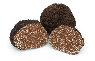 cultivarea Truffle de ciuperci la domiciliu