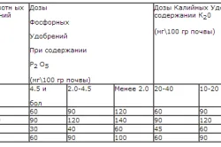 Торене с ползи за капково напояване, методи, изчисление